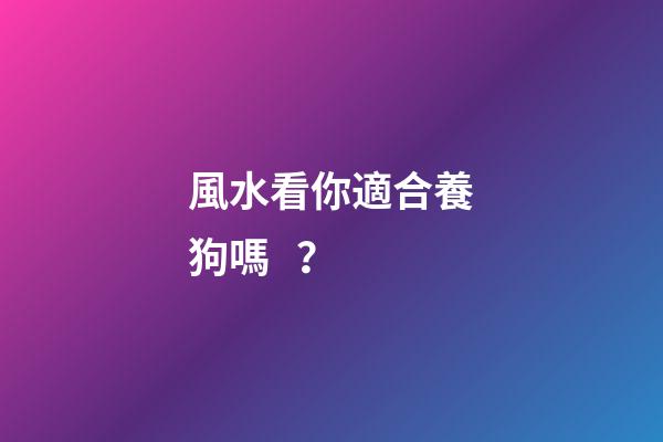 風水看你適合養狗嗎？
